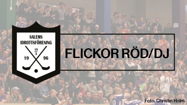 Salems IF - Nacka IBK