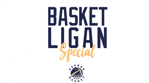 Happy Hoops - Central Basket Vinröd