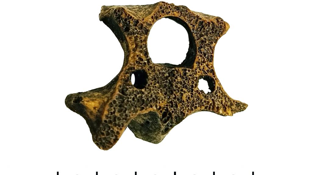 00f6e999 be85 4c51 9975 93431b6caabf