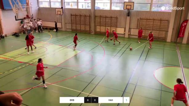 Brahe Basket - Haga Haninge