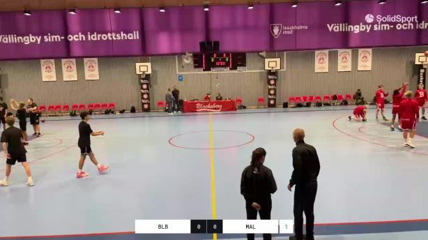 Blackeberg Basket - Malbas