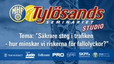 Tylösandsseminariiet 4 Studio