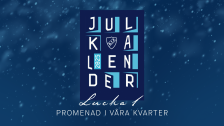 Kotschacks Julkalender 2025 Lucka 1 - Promenad i våra kvarter