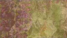 B3f5152a d959 4916 9f72 dbd8460e0b8d
