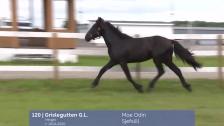 # 120 - Grislegutten G.L.