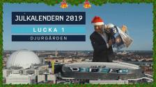 Kotschacks julkalender – lucka 1: Djurgården