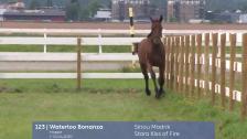123 Waterloo Bonanza