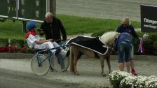 Ponny landsleir - løp 8, lørdag