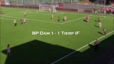 Målen i matchen mellan BP Dam och Tierp IF