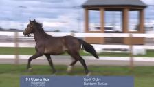 # 9 - Uberg Kos