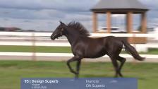 # 95 - Design Superb